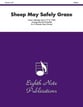 SHEEP MAY SAFELY GRAZE CLAR 6TET cover